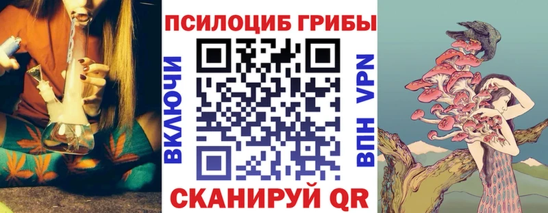 Псилоцибиновые грибы мицелий  Купить где  Октябрьский 
